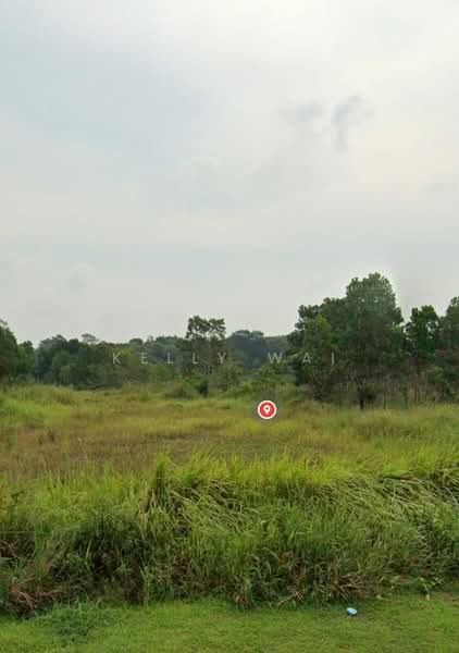 Tanah Perindustrian untuk Dijual di Pekan Nanas (Johor) - Kelly Wai - Exterior - PropertyGuru.com.my