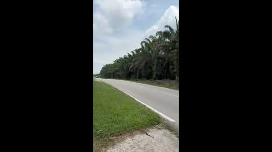 Industrial Land for Sale in Kampung Baru Ban Foo (Ulu Tiram) - Kelly Wai - PropertyGuru.com.my