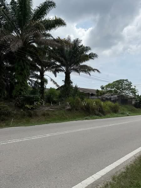Industrial Land for Sale in Kampung Baru Ban Foo (Ulu Tiram) - Kelly Wai - Exterior - PropertyGuru.com.my