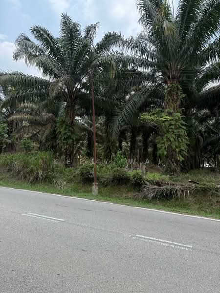 Industrial Land for Sale in Kampung Baru Ban Foo (Ulu Tiram) - Kelly Wai - Exterior - PropertyGuru.com.my