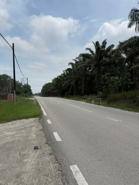 Industrial Land for Sale in Kampung Baru Ban Foo (Ulu Tiram) - Kelly Wai - Exterior - PropertyGuru.com.my