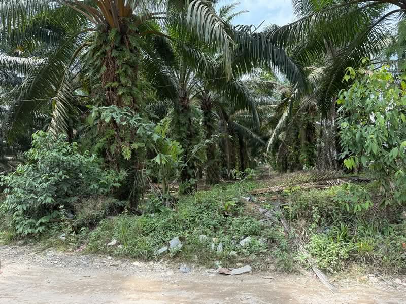 Industrial Land for Sale in Kampung Baru Ban Foo (Ulu Tiram) - Kelly Wai - Exterior - PropertyGuru.com.my