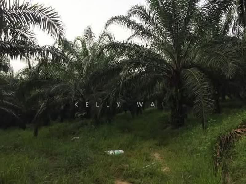 Tanah Pertanian untuk Dijual di Kuala Pilah (Negeri Sembilan) - Kelly Wai - PropertyGuru.com.my