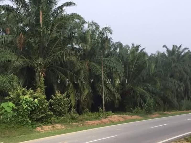 Tanah Pertanian untuk Dijual di Kuala Pilah (Negeri Sembilan) - Kelly Wai - Exterior - PropertyGuru.com.my