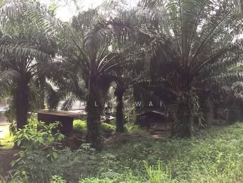 Tanah Pertanian untuk Dijual di Kuala Pilah (Negeri Sembilan) - Kelly Wai - Exterior - PropertyGuru.com.my