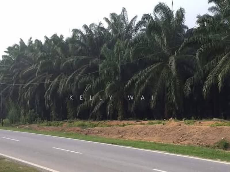 Tanah Pertanian untuk Dijual di Kuala Pilah (Negeri Sembilan) - Kelly Wai - PropertyGuru.com.my