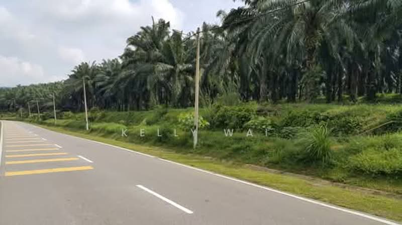 Tanah Pertanian untuk Dijual di Kuala Pilah (Negeri Sembilan) - Kelly Wai - Exterior - PropertyGuru.com.my