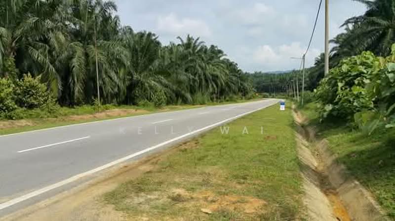 Tanah Pertanian untuk Dijual di Kuala Pilah (Negeri Sembilan) - Kelly Wai - PropertyGuru.com.my