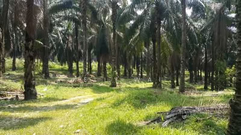 Tanah Pertanian untuk Dijual di Kuala Pilah (Negeri Sembilan) - Kelly Wai - Exterior - PropertyGuru.com.my