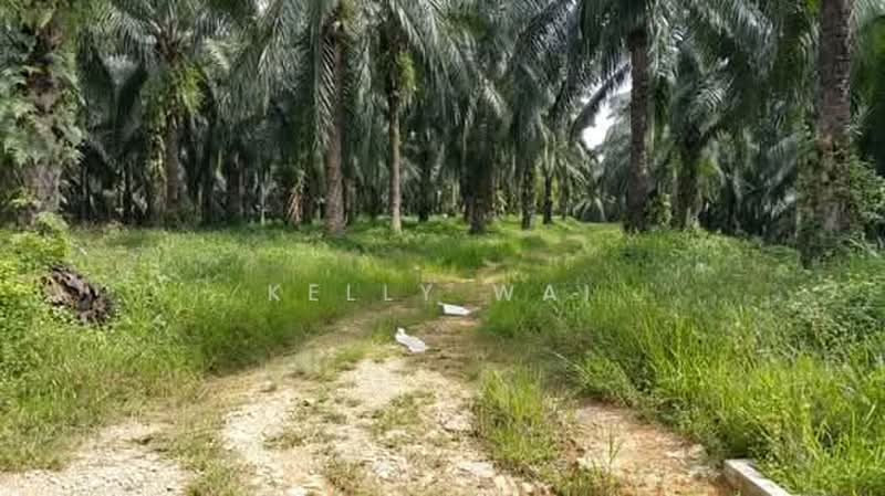 Tanah Pertanian untuk Dijual di Kuala Pilah (Negeri Sembilan) - Kelly Wai - Exterior - PropertyGuru.com.my
