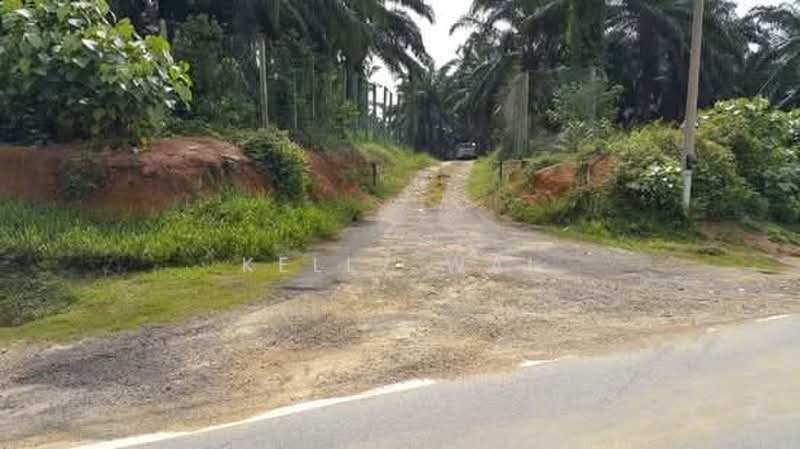 Tanah Pertanian untuk Dijual di Kuala Pilah (Negeri Sembilan) - Kelly Wai - Exterior - PropertyGuru.com.my