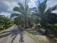 For Sale - Taman Aman