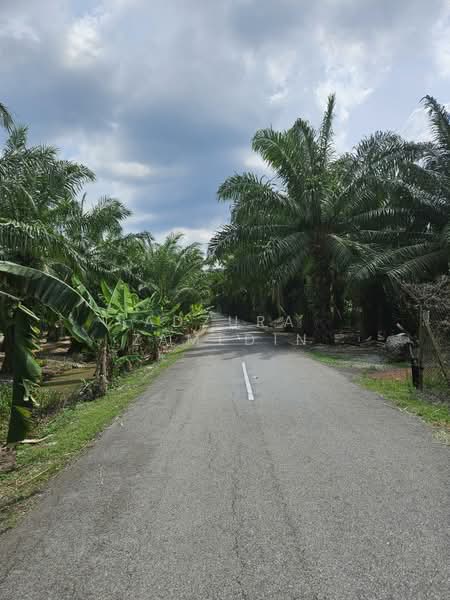 Tanah Pertanian untuk Dijual di Taman Aman (Sabak Bernam) - Adzura Zamedin - PropertyGuru.com.my