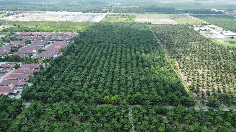 Tanah Pertanian untuk Dijual di Taman Aman (Sabak Bernam) - Adzura Zamedin - Exterior - PropertyGuru.com.my