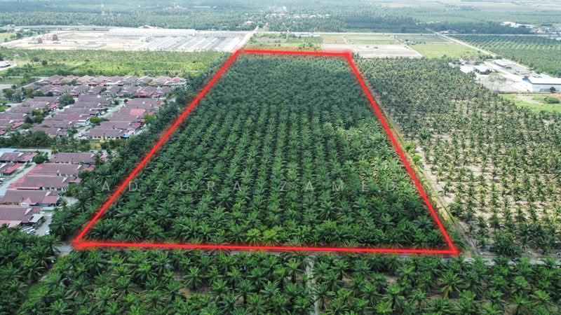 Tanah Pertanian untuk Dijual di Taman Aman (Sabak Bernam) - Adzura Zamedin - Exterior - PropertyGuru.com.my