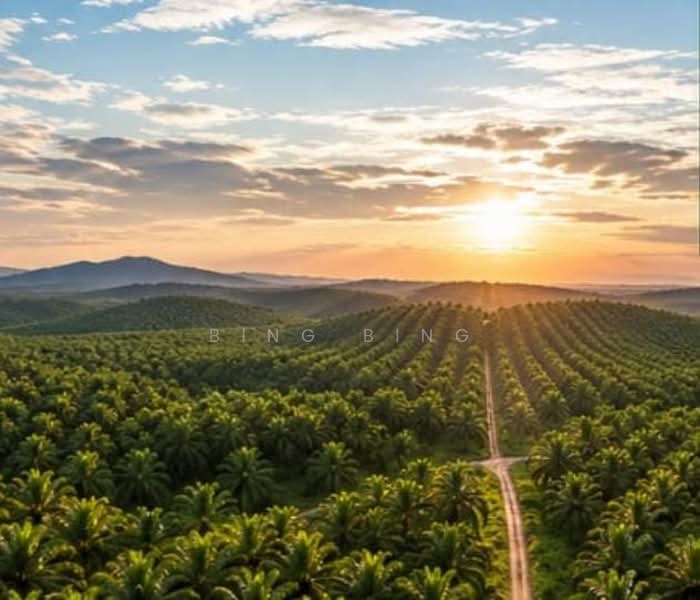 Agricultural Land for Sale in Batang Padang (Perak) - Bing Bing - PropertyGuru.com.my