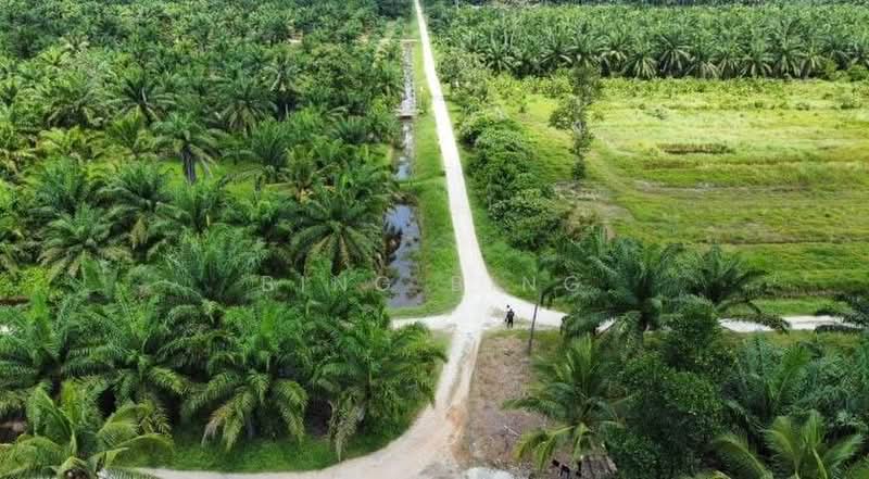 Agricultural Land for Sale in Batang Padang (Perak) - Bing Bing - Exterior - PropertyGuru.com.my