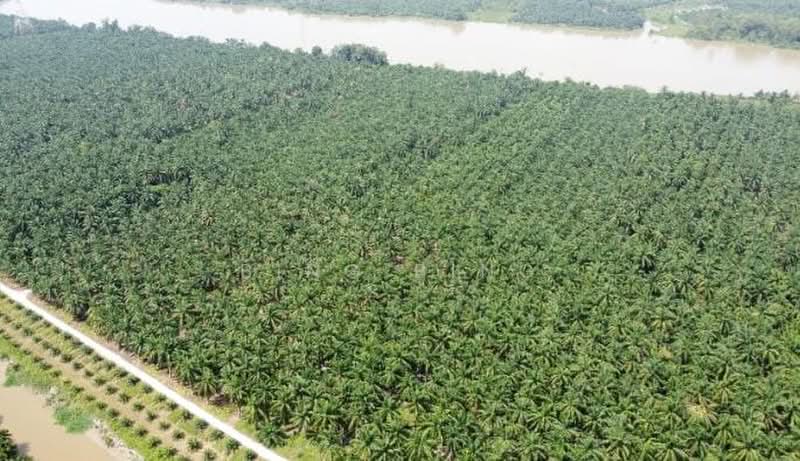 Agricultural Land for Sale in Batang Padang (Perak) - Bing Bing - Exterior - PropertyGuru.com.my