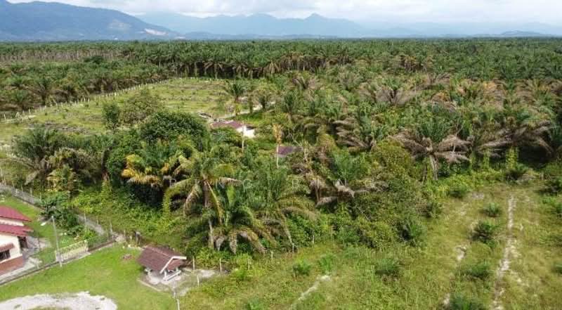 Agricultural Land for Sale in Batang Padang (Perak) - Bing Bing - Exterior - PropertyGuru.com.my