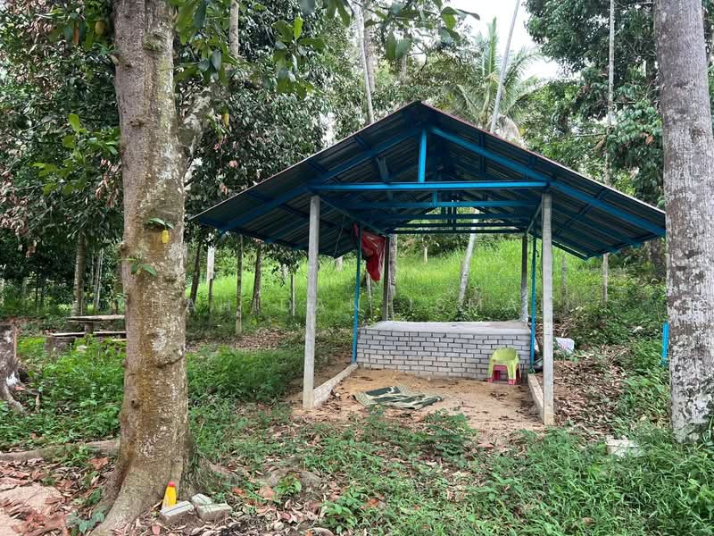 Agricultural Land for Sale in Batu Kurau (Perak) - Shahidan Ismail - Exterior - PropertyGuru.com.my