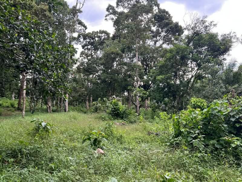 Agricultural Land for Sale in Batu Kurau (Perak) - Shahidan Ismail - Exterior - PropertyGuru.com.my