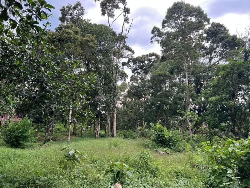 Agricultural Land for Sale in Batu Kurau (Perak) - Shahidan Ismail - Exterior - PropertyGuru.com.my