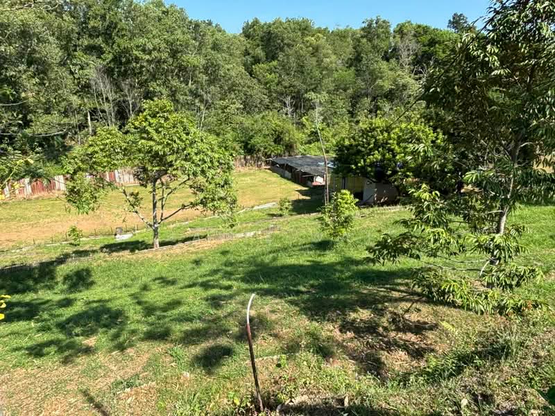 Agricultural Land for Sale in Senawang (Negeri Sembilan) - Janie Wai - Exterior - PropertyGuru.com.my