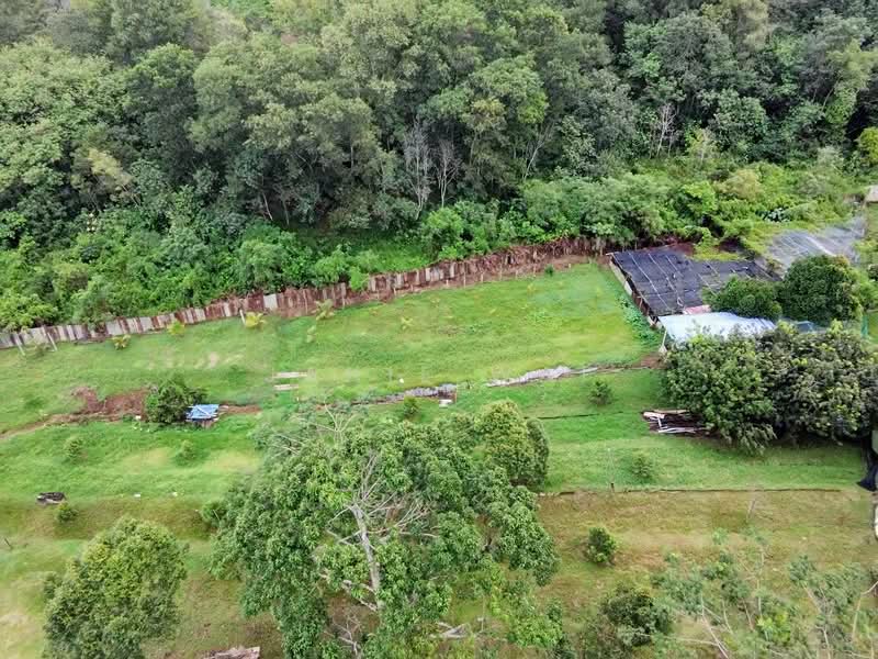Tanah Pertanian untuk Dijual di senawang (Senawang) - Janie Wai - Exterior - PropertyGuru.com.my