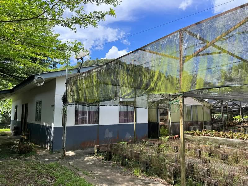 Agricultural Land for Sale in Serian (Sarawak) - Sherene Kok - Exterior - PropertyGuru.com.my