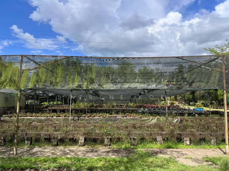 Agricultural Land for Sale in Serian (Sarawak) - Sherene Kok - Garden - PropertyGuru.com.my
