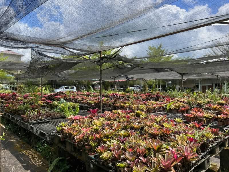 Agricultural Land for Sale in Serian (Sarawak) - Sherene Kok - Exterior - PropertyGuru.com.my