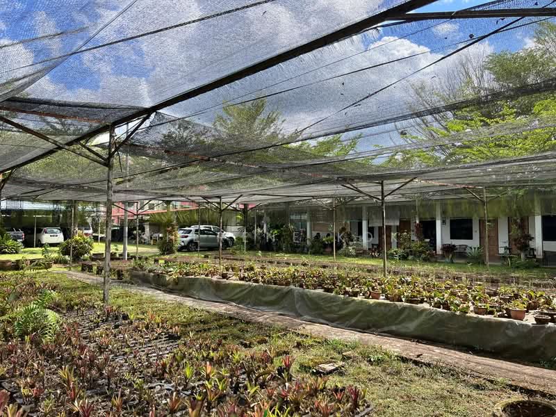 Agricultural Land for Sale in Serian (Sarawak) - Sherene Kok - Exterior - PropertyGuru.com.my
