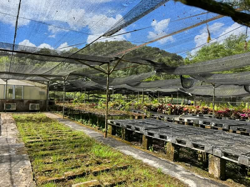 Agricultural Land for Sale in Serian (Sarawak) - Sherene Kok - Exterior - PropertyGuru.com.my