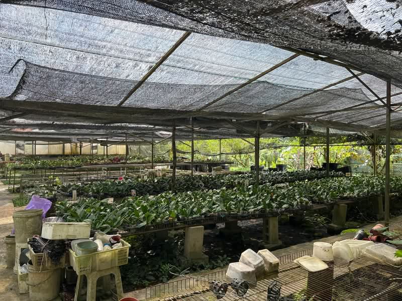 Agricultural Land for Sale in Serian (Sarawak) - Sherene Kok - Garden - PropertyGuru.com.my