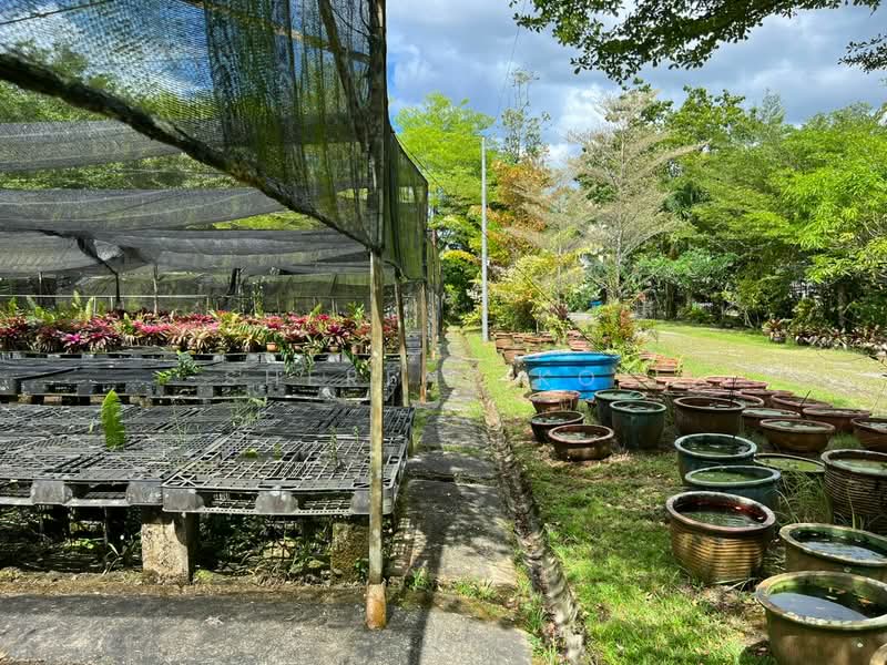 Agricultural Land for Sale in Serian (Sarawak) - Sherene Kok - Garden - PropertyGuru.com.my