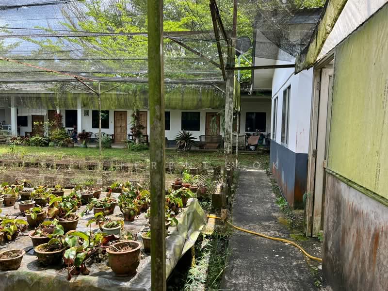 Agricultural Land for Sale in Serian (Sarawak) - Sherene Kok - Exterior - PropertyGuru.com.my