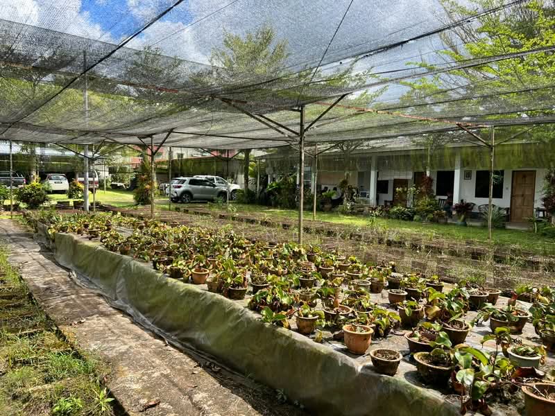Agricultural Land for Sale in Serian (Sarawak) - Sherene Kok - Exterior - PropertyGuru.com.my