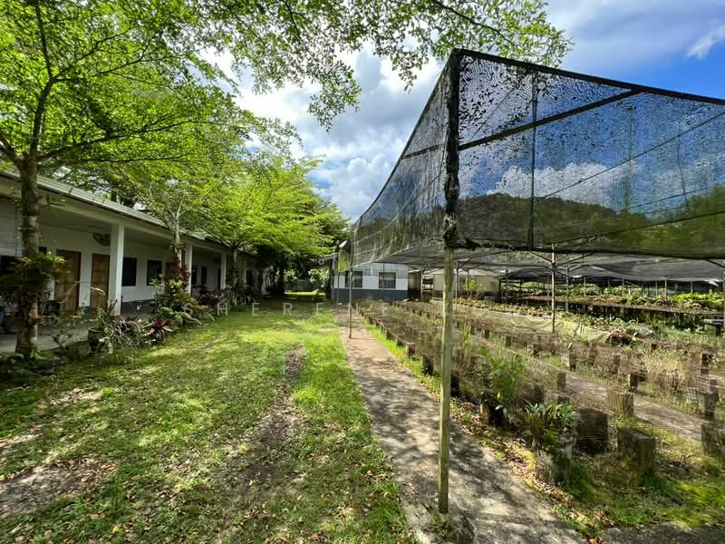 Agricultural Land for Sale in Serian (Sarawak) - Sherene Kok - PropertyGuru.com.my