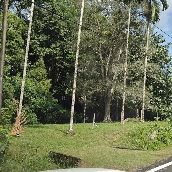 Residential Land for Sale in Petra Jaya (Kuching) - Sherene Kok - Exterior - PropertyGuru.com.my