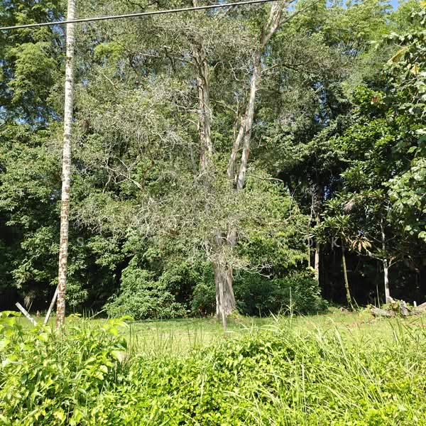 Residential Land for Sale in Petra Jaya (Kuching) - Sherene Kok - PropertyGuru.com.my