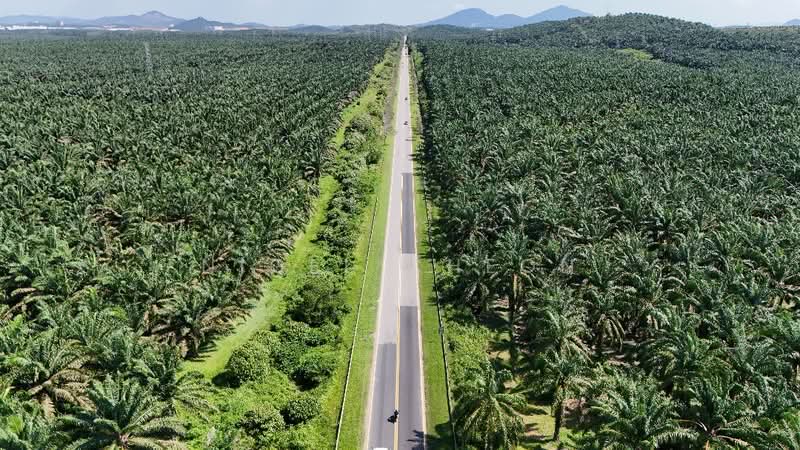 Tanah Perindustrian untuk Dijual di Kulim (Kedah) - Nigel Cheon - Exterior - PropertyGuru.com.my
