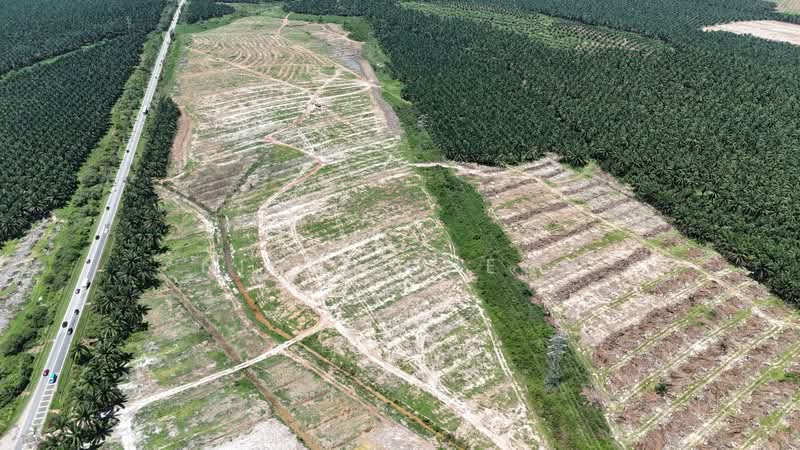 Tanah Perindustrian untuk Dijual di Kulim (Kedah) - Nigel Cheon - Exterior - PropertyGuru.com.my