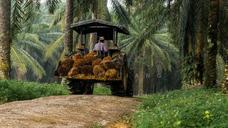 Agricultural Land for Sale in Johol (Negeri Sembilan) - Elvis Liang - Exterior - PropertyGuru.com.my