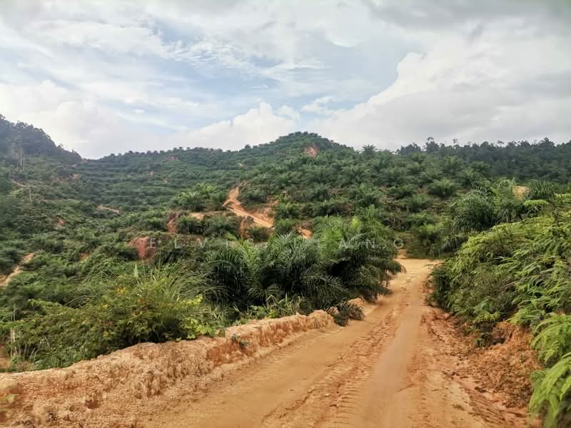 Agricultural Land for Sale in Johol (Negeri Sembilan) - Elvis Liang - Exterior - PropertyGuru.com.my