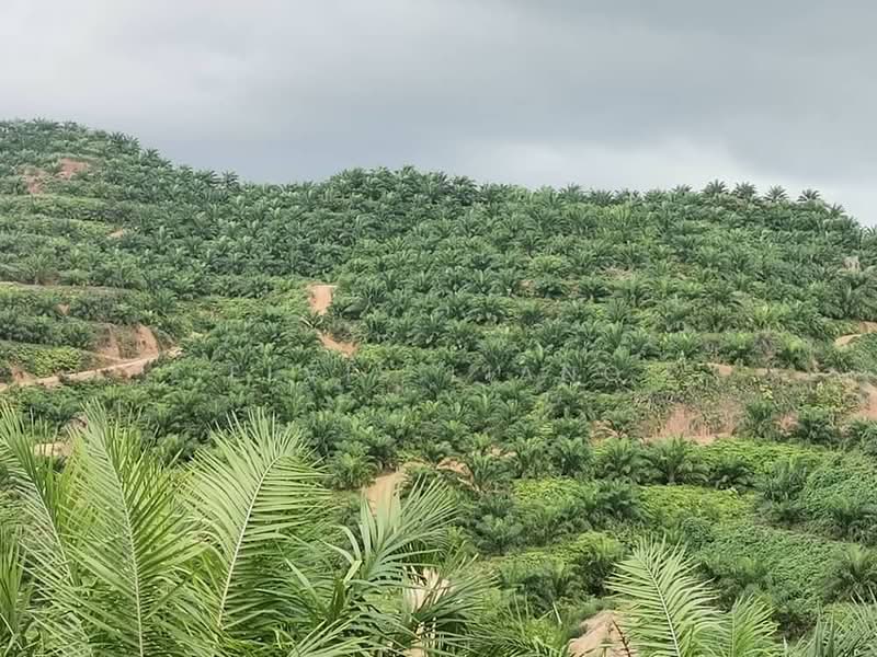 Agricultural Land for Sale in Johol (Negeri Sembilan) - Elvis Liang - Exterior - PropertyGuru.com.my