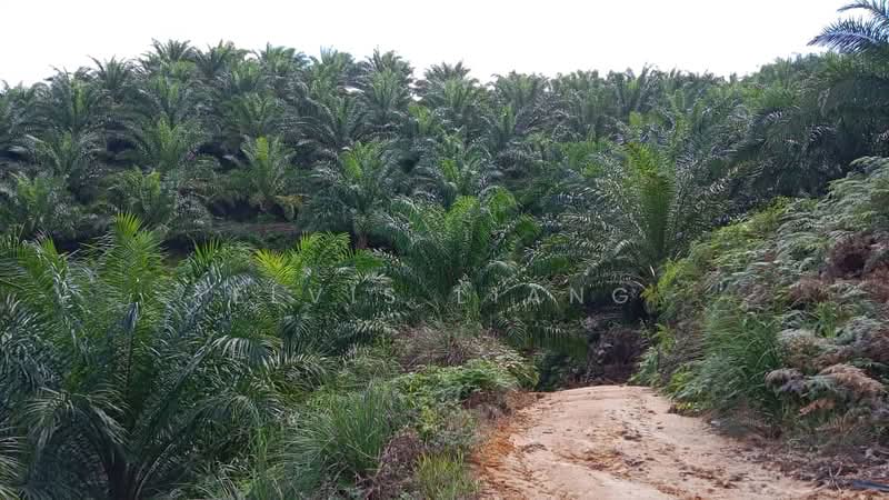 Agricultural Land for Sale in Johol (Negeri Sembilan) - Elvis Liang - Exterior - PropertyGuru.com.my