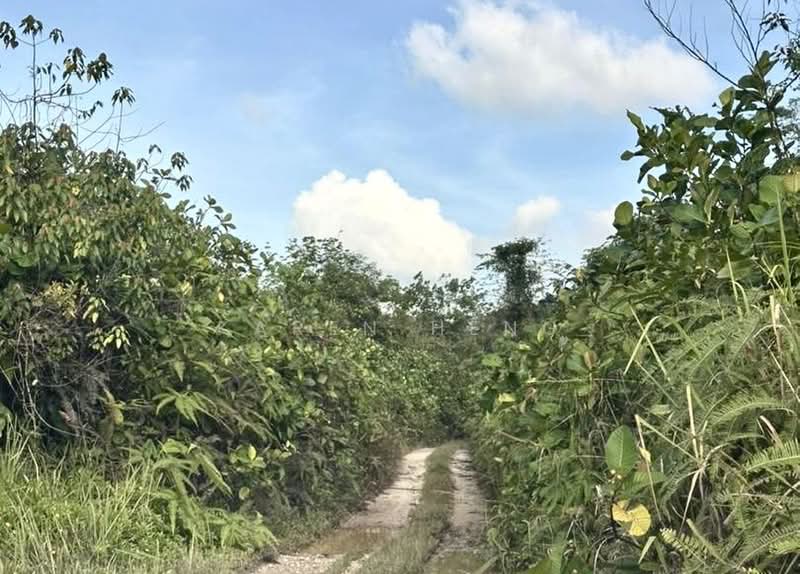 Tanah Pertanian untuk Dijual di Pelabuhan Tanjung Pelepas (Gelang Patah) - Karen Heng - PropertyGuru.com.my