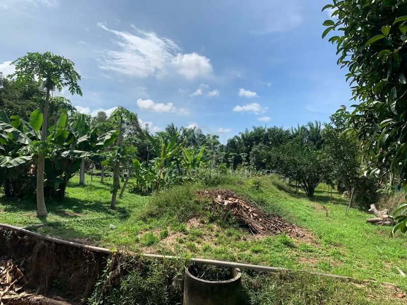 Tanah Pertanian untuk Dijual di Sepang (Selangor) - H.K Ching - Garden - PropertyGuru.com.my