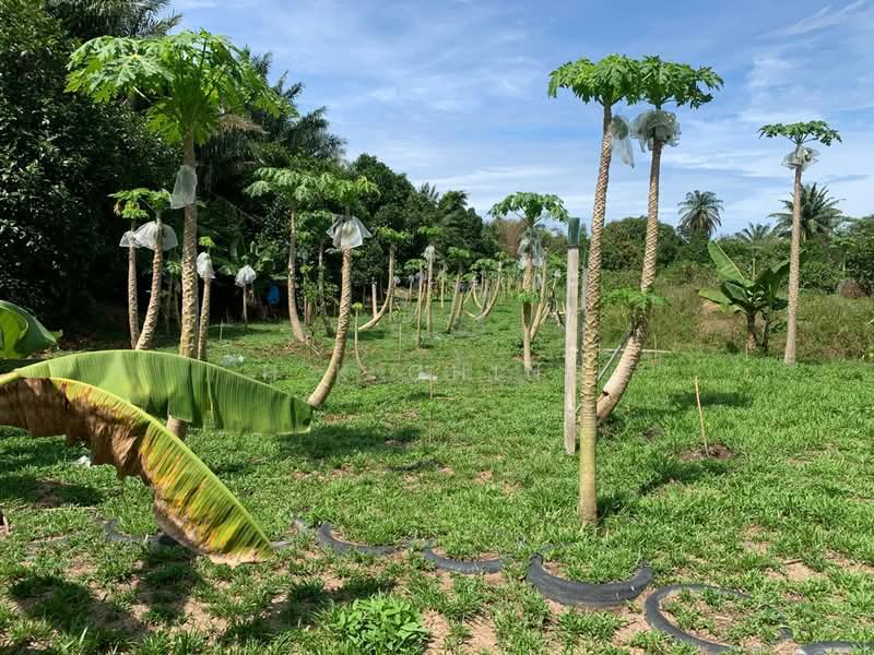 Tanah Pertanian untuk Dijual di Sepang (Selangor) - H.K Ching - Exterior - PropertyGuru.com.my