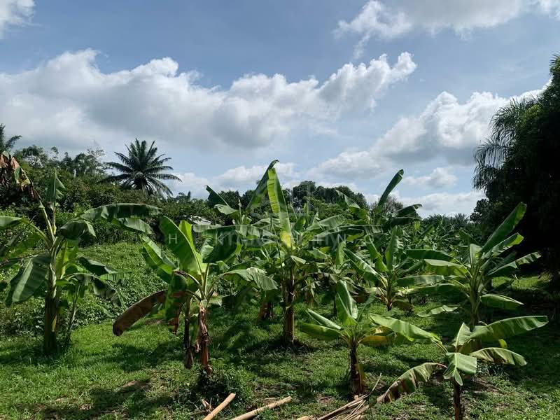 Tanah Pertanian untuk Dijual di Sepang (Selangor) - H.K Ching - Garden - PropertyGuru.com.my